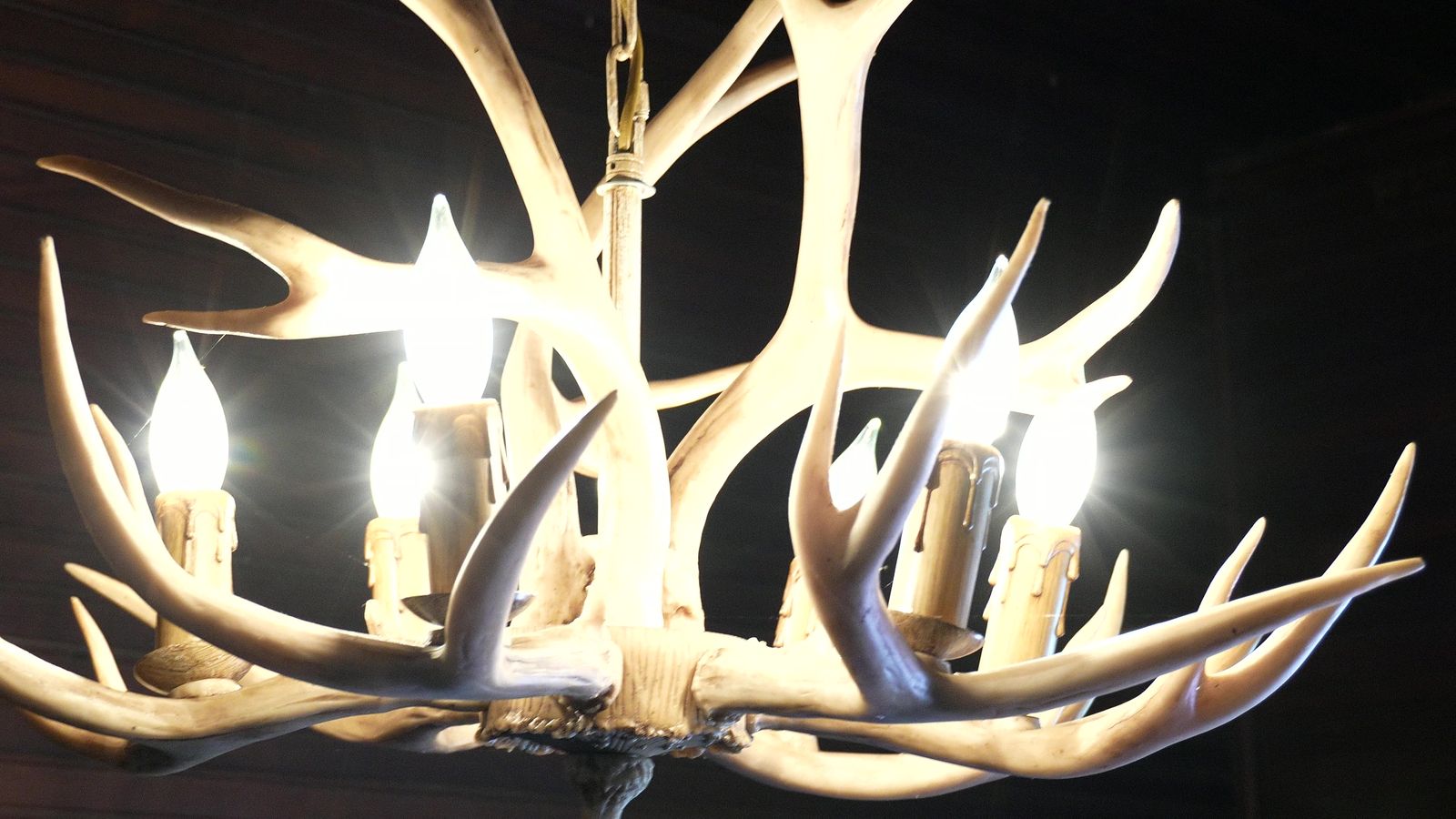 The antler chandelier over the hall
