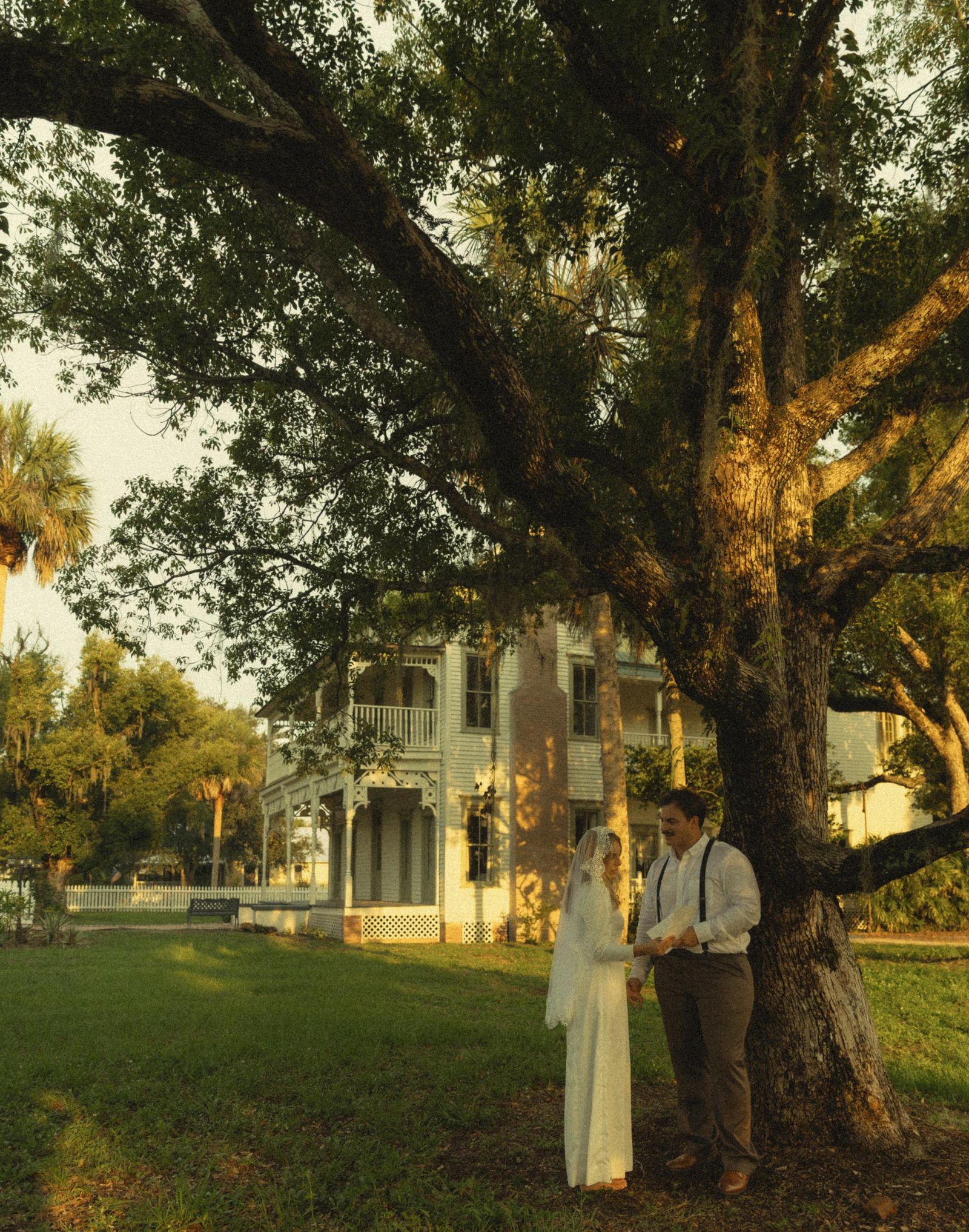 A couple under the oak at dusk